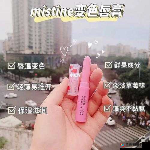 蜜丝婷大草莓与小草莓的详细对比解析