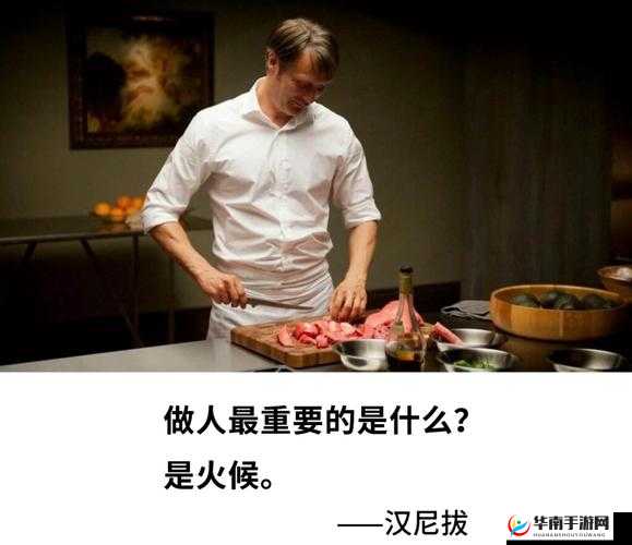 探索人狗胶配方大全免费天气预报：你想知道的都在这里