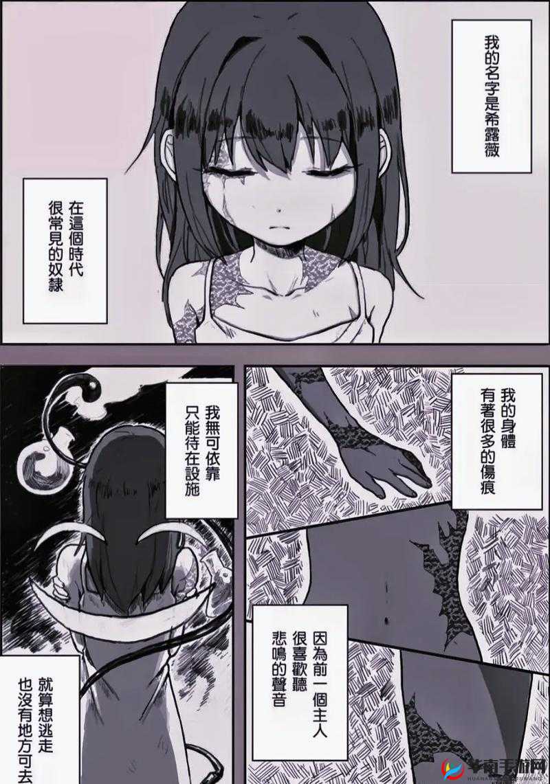 希露薇の繁殖计划魔改版答案：全新解读