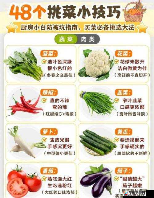 一边做饭一边狂做最有效的一句方法：实用指南