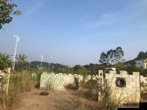 格斗宝贝软萌使魔全新上线 最强使魔羁绊震撼来袭等你来战