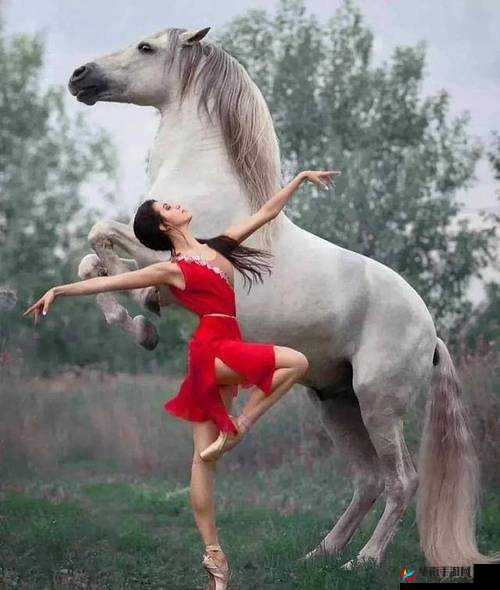 欣赏人体艺术，感受艺术之美