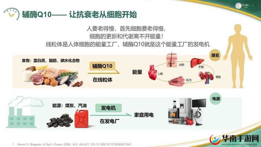 提升丰年经继拇 3 机能量发展的方法探讨