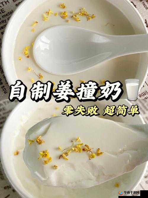 广东甜品姜汁撞奶 POH:传统与创新的完美结合