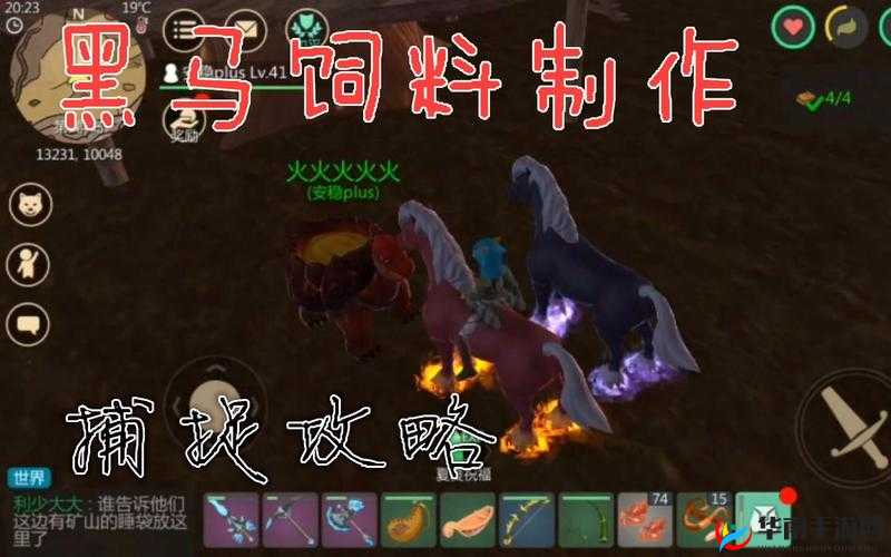 创造与魔法：黑马捕捉技巧与黑马食物览，黑马最爱吃什么？