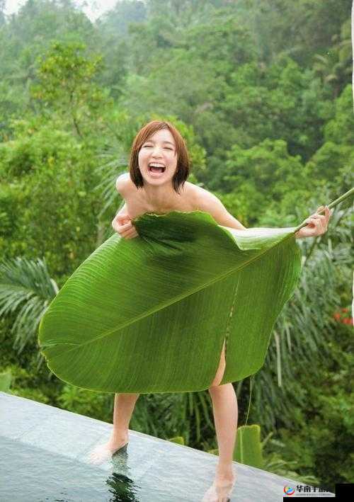 zzjⅰzzji 日本亚：探索日本艺术与文化的魅力