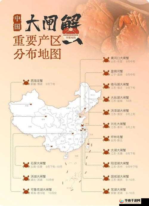 精产国品一二三产区99：重要区域划分