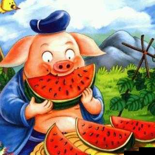 八戒八戒网剧在线观看 7：精彩剧情等你来