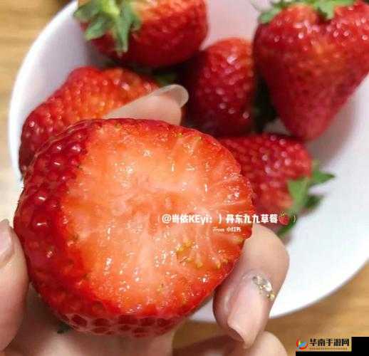 蜜丝婷大草莓和小草莓对比，你选对了吗？