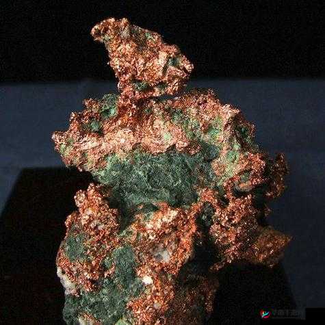 铜铜铜铜铜铜好污 WWW :你所不知道的秘密