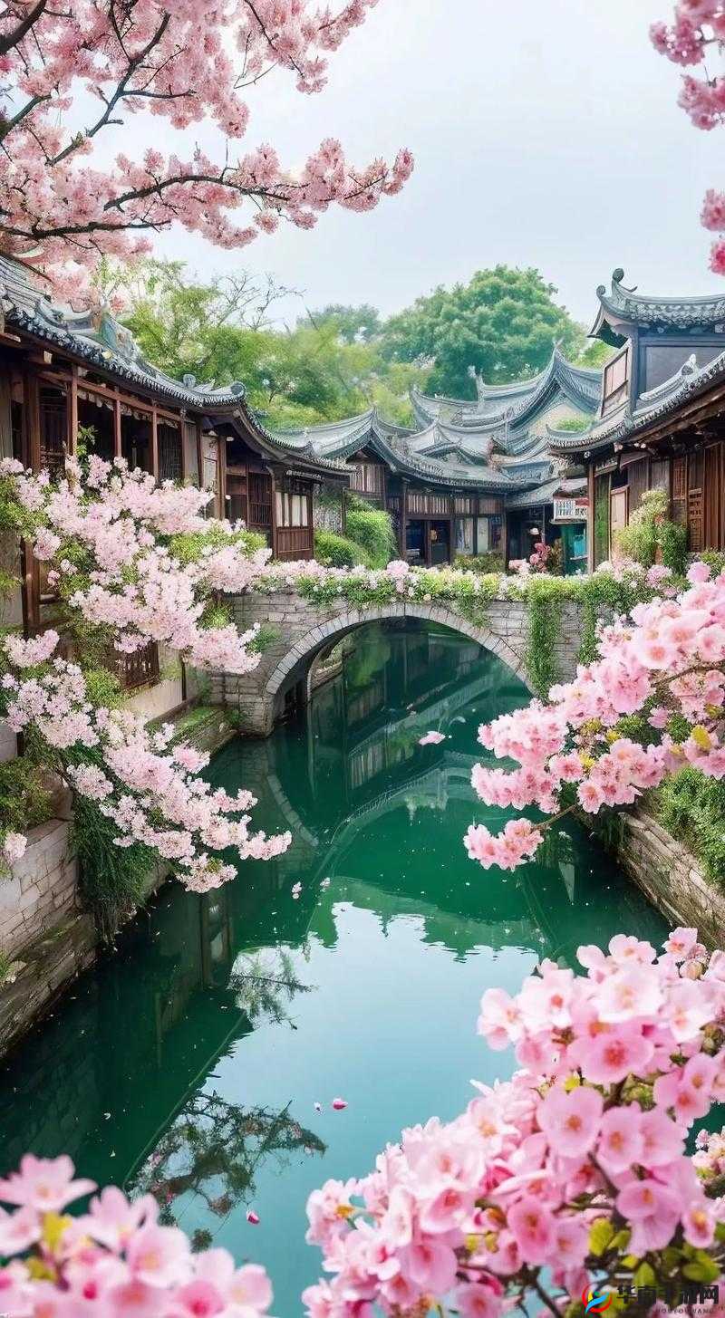 母亲的桃花源流淌：记忆中的美好