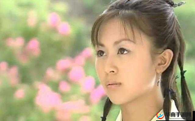 角色扮演系统 NPN 赵青蔓的奇妙之旅