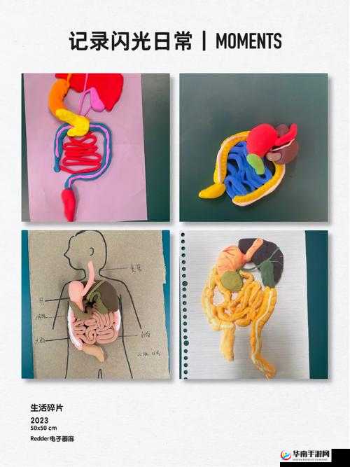 我成了生物课的教具篇 1:人体奥秘探索之路