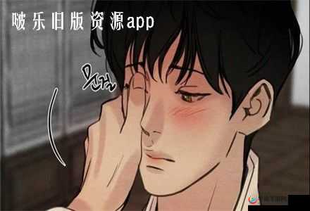 啵乐网页:漫画阅读的精彩世界