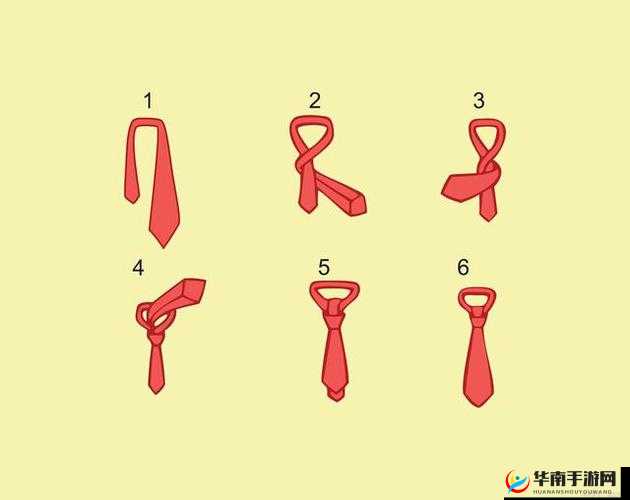 红领巾的正确系法 2024：简单易学的教程