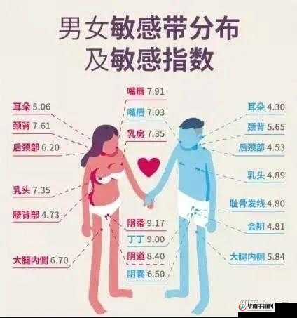 男女下面一进一出软件：探索奇妙体验