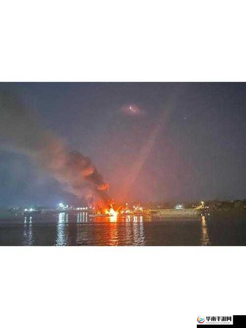 缅北北部血腥 2024 黑网:揭露罪恶行径