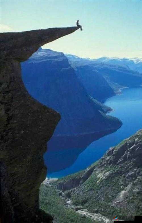 后位式是怎样的图片：独特视角下的震撼瞬间