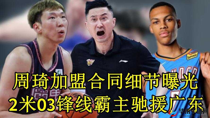 51 大豆行情网仙林踪 2024 功能及相关资讯