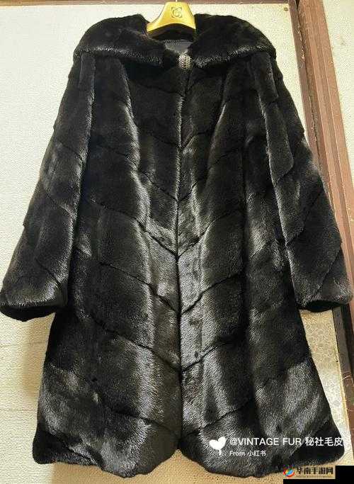 AAAA 级毛皮最简单三个标志：奢华、品质、独特