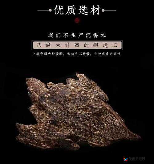 沉香一线产区：独特魅力与价值