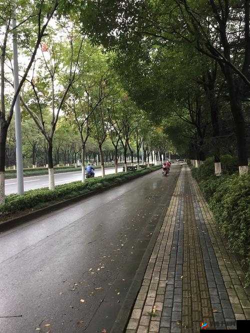 外勤中突然下雨：麻妃的雨中困境
