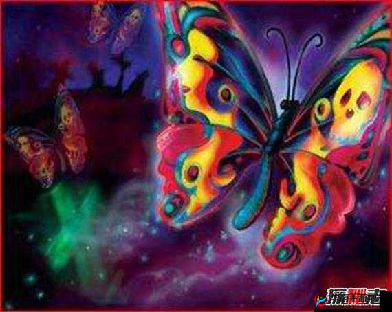 女生的蝴蝶比是罕见的吗：探秘背后的真相