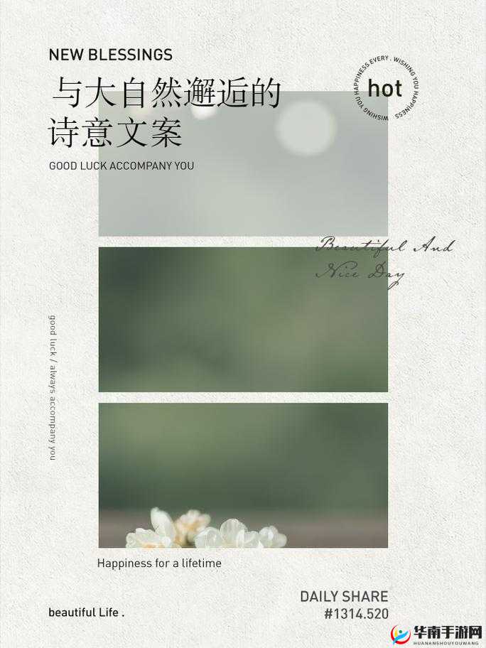 公交车上的诗意 10 :美好邂逅与感悟