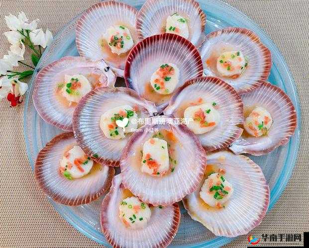 打开扇贝即可享受美味火腿肠，界面简约高级