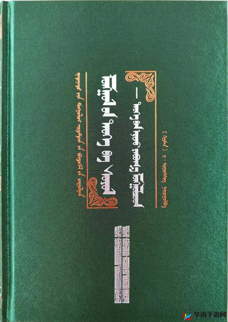 探索蒙古 B 大吗:其历史与文化