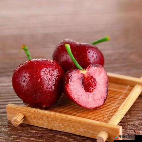 樱桃 MW2310 优质产品推荐