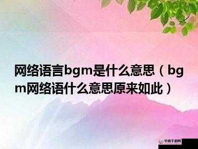 BGMBGMBGM 荷兰 HD 收费通道已关闭实测结果公布