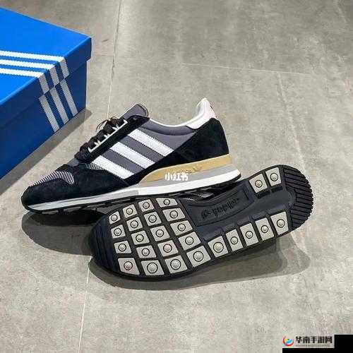 三叶草 gy3251 的独特魅力