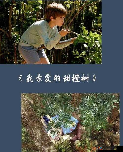 爸爸-10 岁幼儿-tree-小学生的成长故事