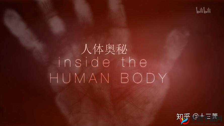 ZookeeperK9：探索未知的神奇之旅