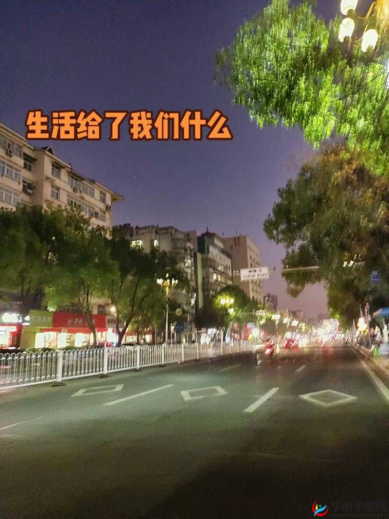 生活不止，天天综合天天精彩不断