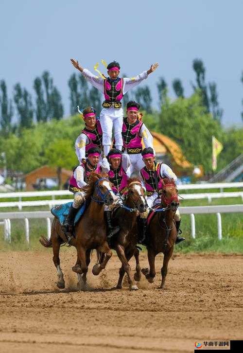 深入交流骑马:探索马术世界的奥秘