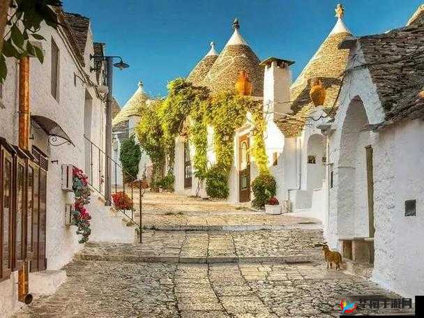 随时随地都能干的小镇叫什么:探讨其独特之处