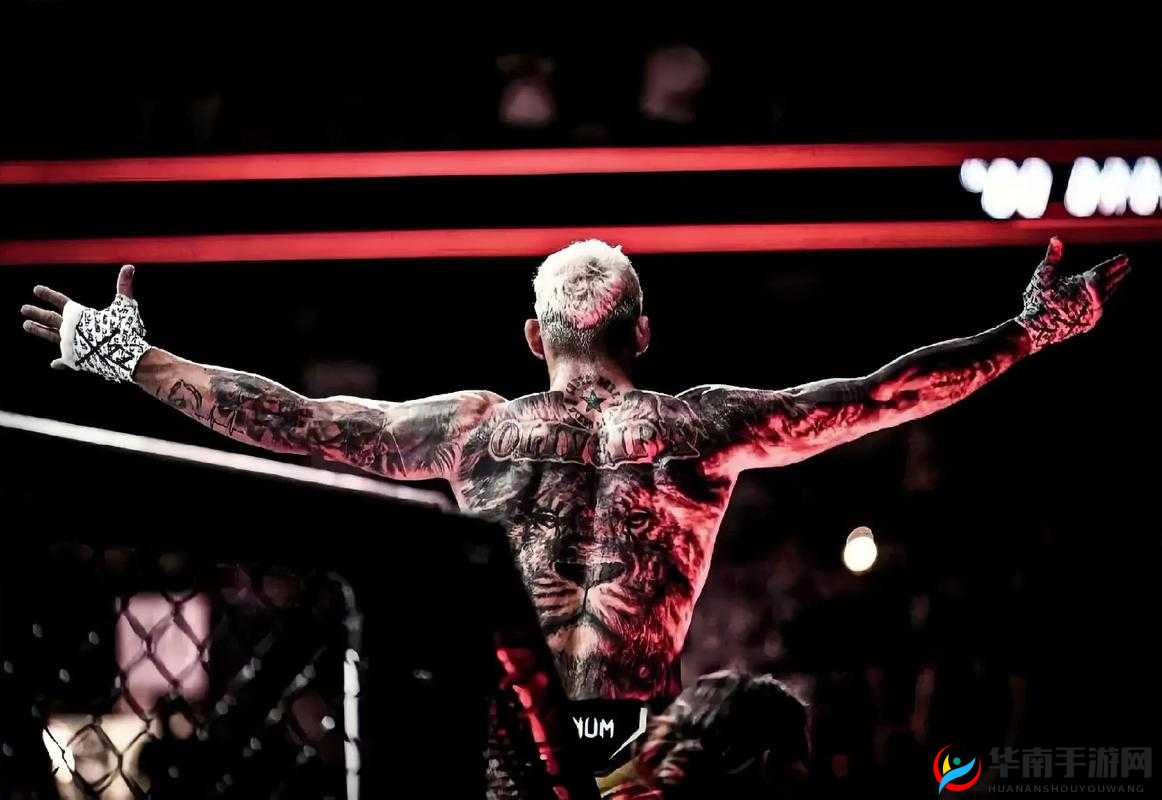 双拳扩张另类痛苦：解析其背后含义