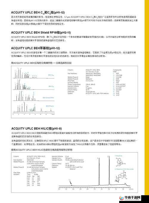 Waters 色谱柱 C18-性能与应用解析