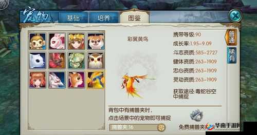 诛仙手游稀有黄鸟捕捉技巧 58 分钟时间出现之详细攻略指南