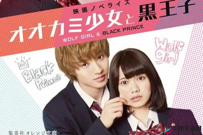 迷人的领居:我的好伙伴