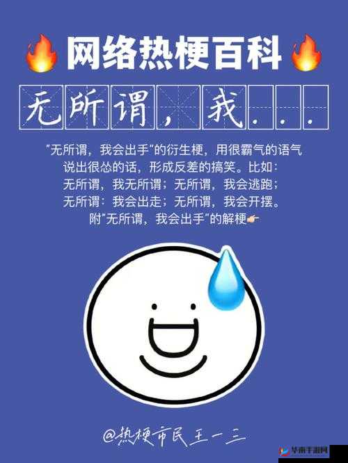 Nootnoot搞笑梗详解：探秘网络新热词背后的故事与起源