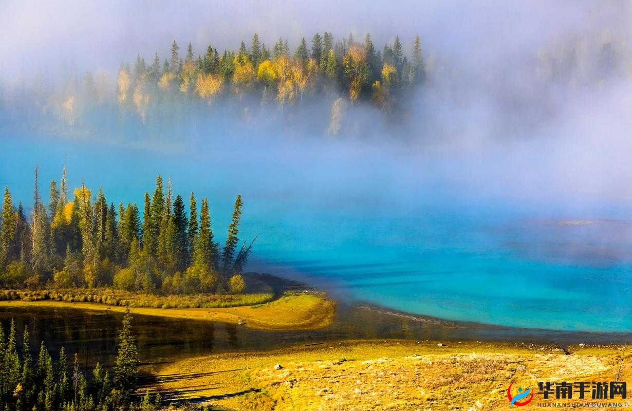 大菠萝官方官网隐藏入口：探寻神秘通道