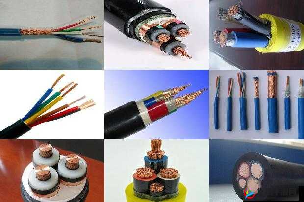 铜铜铜铜铜铜好多疼：这是何意