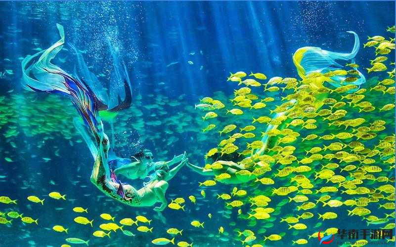 海角色色视频：探索神秘海底世界