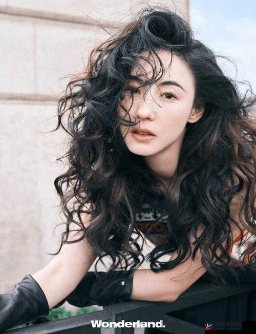 张柏芝XXXXXXXXX另类：明星背后的独特风采