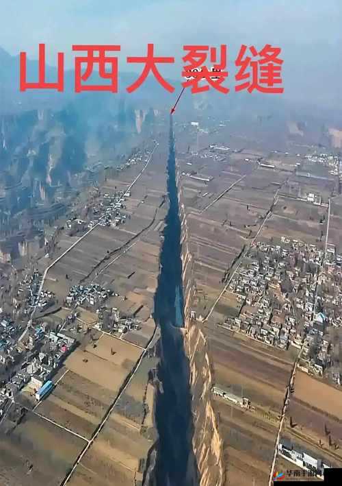 黛玉初试金箍棒直接白嫖：令人惊叹的奇景