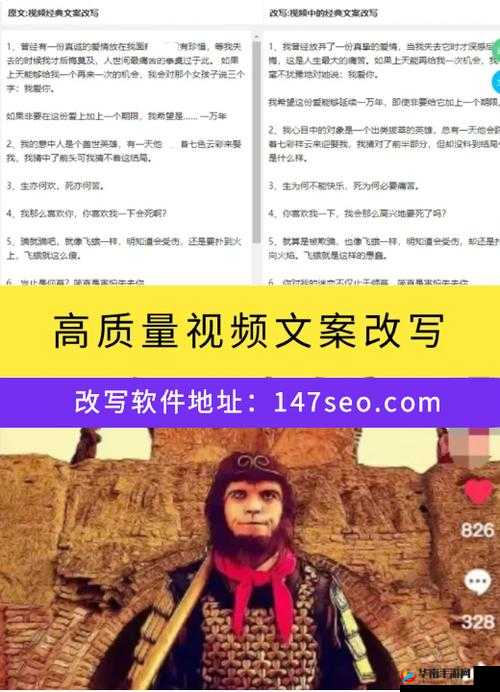 SEO 短视频网页入口引流技巧的有效方法