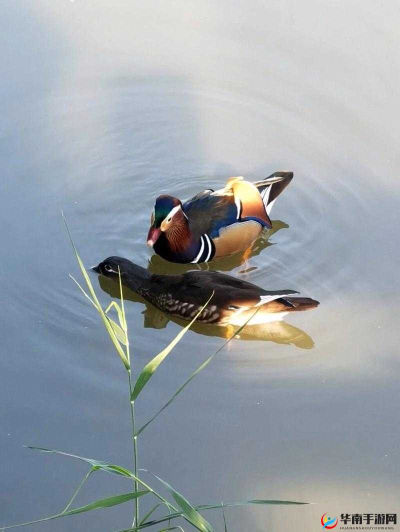 卫生间 6 分 34 秒的奇妙时刻